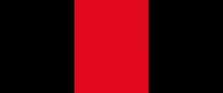 Лента ордена Святого Владимира (10 х 200 см., шёлк, муар)