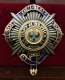 Звезда ордена Святого Андрея Первозванного бриллиантовой огранки (лучевая), объединённая с орденом Подвязки